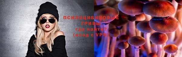 скорость mdpv Бородино