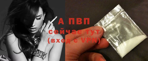 мдпв Верхний Тагил